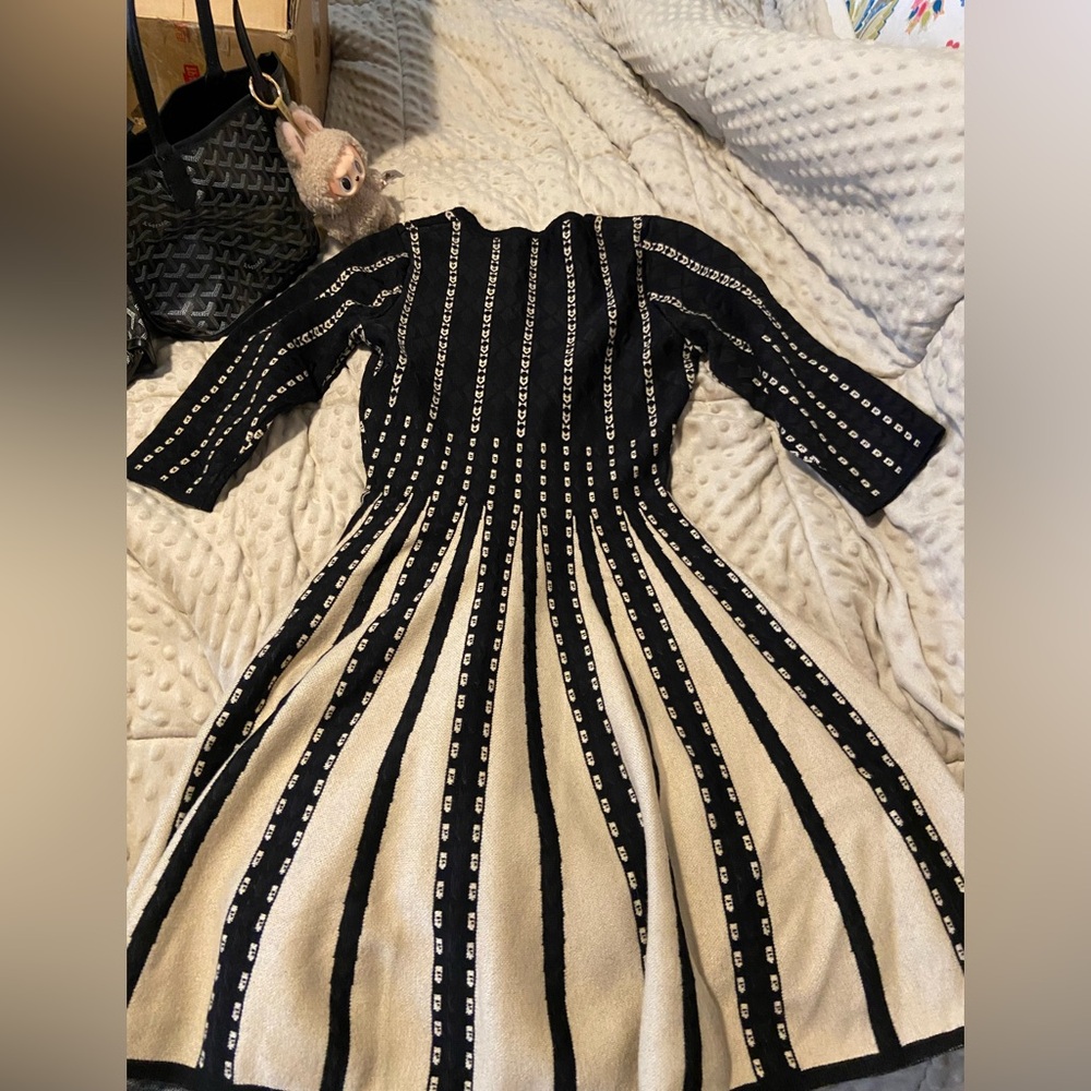 Black and Cream Striped Dress